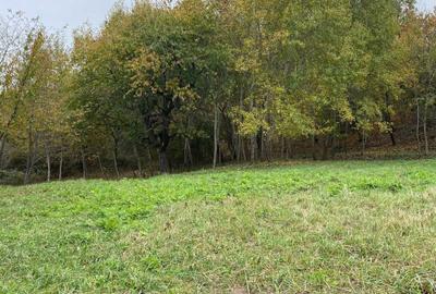 Spațiu comercial, în Uileacu de Munte - 3