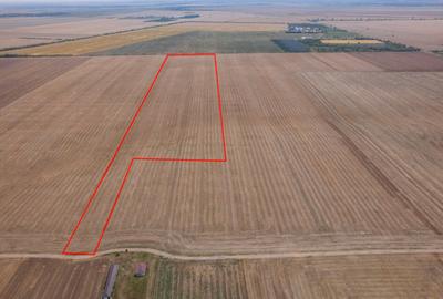 FRUMUSANI - PASAREA, TEREN 14420 MP, FRONT 40 M! - 18