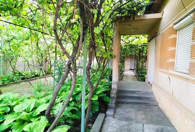 Casă cu 6 camere în Sintea Mare - 3