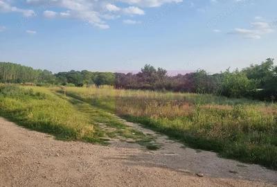 Teren de 4200 mp, în Teișori - 3