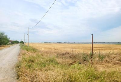 Teren 8.812mp- Magurele- Dumitrana, Autostrada 0 - 10