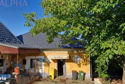 Casă cu 3 camere cu Teren 2400 Mp în Șintereag - 13