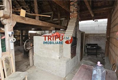 Casă cu 4 camere cu Teren 1284 Mp în Ighiu - 10