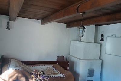 Proprietar, casa de vacanta de vanzare - 9