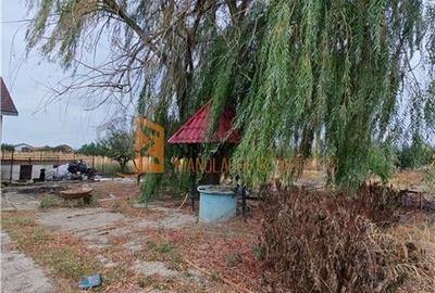 Casa P+M cu teren 2098mp in Potoceni, Buzau - 17