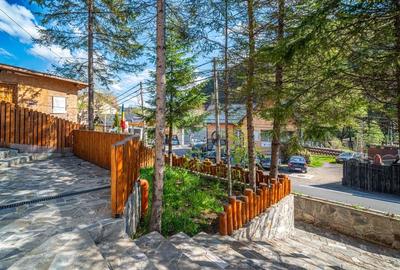 Vila superba in inima statiunii Sinaia - eleganta, confort - 31