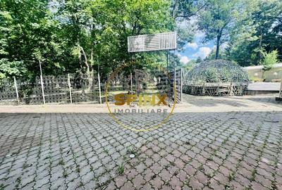 BACAU - PARC CANCICOV IMOBIL REPREZENTATIV 960 MP UTILI IN PARC! - 22
