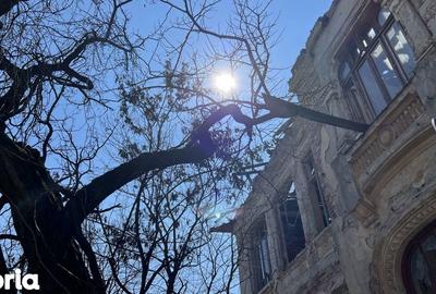 Casă cu Teren 950 Mp în Centrul Civic - 4