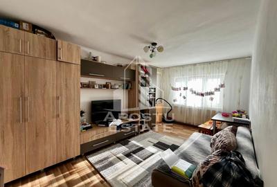 Apartament cu 3 camere decomandat, mobilat în Lipovei - 1