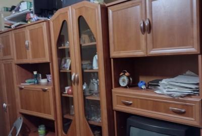 Casă cu 3 camere în Șega - 5