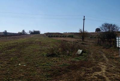 Teren de 3200 mp, în Schineni (Sascut) - 4