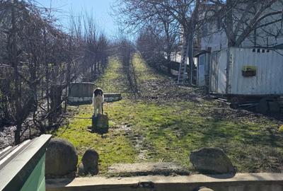 Casă cu Teren 1650 Mp în Făget - 7