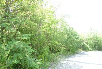 Teren intravilan in Boldesti Scaeni, Prahova, 7410 mp - 4