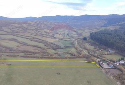 Teren de 5800 mp, în Purcăreni - 1