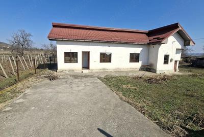 Casă cu Teren 700 Mp în Prundeni - 4