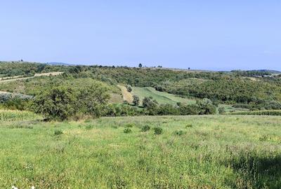 Casă cu 4 camere cu Teren 4600 Mp în Lăzăreni - 5