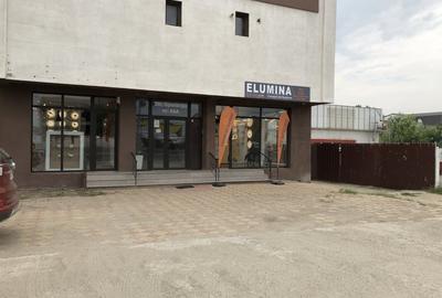 Stradal Sos Alexandriei, acces direct dn, parcare, acces tir, vizibiliate - 5