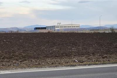 Teren Construcții extravilan de 30700 mp, în Feldioara - 2