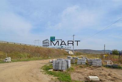 Teren de 6500 mp, în Veterani - 3