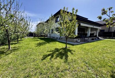 Vila Otopeni - Odaii - Teren 500 mp - 21
