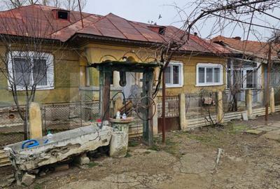 Casa batraneasca pe un singur nivel , 1700 mp teren, Bradest - 7