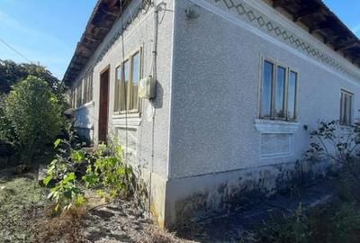 Casă cu 5 camere cu Teren 1000 Mp în Lăpușata - 5