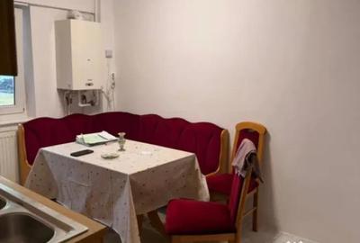 Apartament cu 2 camere decomandat în Sub Arini - 4