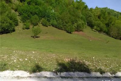Teren de 5500 mp, în Pietroasa - 5