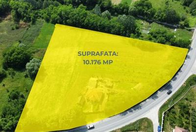 Teren de 10176 mp, în Mihăești - 5