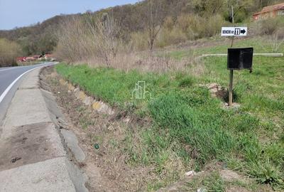 Teren de vanzare, 2600 Mp, Cartier Venchi, Sighisoara - 1
