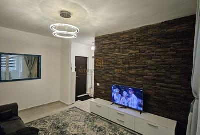 Apartament modern cu 2 camere, tip studio, Drumul Binelui, Sector 4 - 13