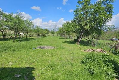 Casă cu 4 camere cu Teren 1427 Mp în Sâmbăta - 2