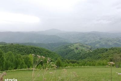 Teren de 20340 mp, în Crizbav - 5