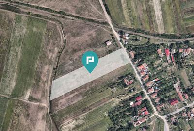 Teren Extravilan –Oportunitate Unică de Investiții - 3
