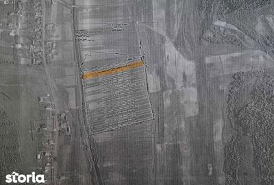 Teren de 2399 mp, în Ceuaș - 2