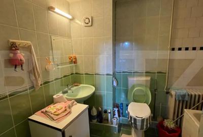 Casă cu 6 camere cu Teren 854 Mp în Elisabetin - 3