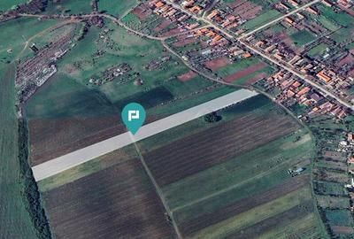 Teren de 12100 mp, în Remetea Mică - 2