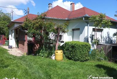 Casă cu 3 camere cu Teren 3320 Mp în Căpușu Mare - 9