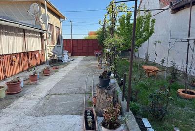 Casă cu 5 camere cu Teren 2984 Mp în Boldur - 2