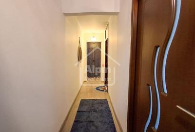 Suprafata Generoasa I Zona Gemenii - 12