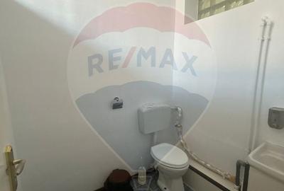 Spațiu comercial, de 77.620002746582 mp, în Ultracentral - 11