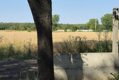 Vand  Teren UNIIC Zona Nord  Grădiștea 15744 Mp 4 Deschideri intravilan OCAZIE - 10