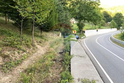 Teren extravilan de 1019 mp, în Lepșa