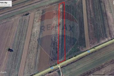 Teren Construcții intravilan de 7000 mp, în Stoenești (Florești-Stoenești) - 10