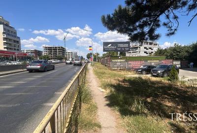 Depozit + Showroom, zonă premium Tomis Plus – Bulevardul Tomis - 4