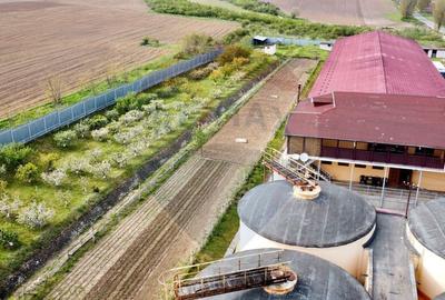 Crama din Buciumeni Afacere la cheie - 15