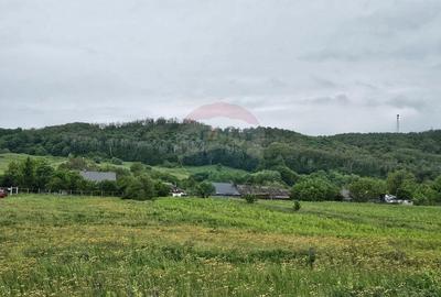 Teren de 1495 mp, în Dobreni - 10