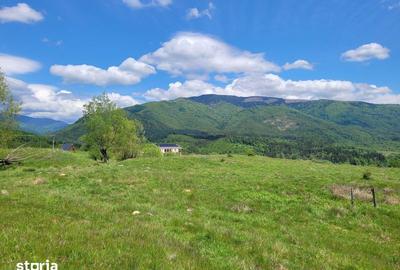 Teren de 2500 mp, în Nucșoara - 2