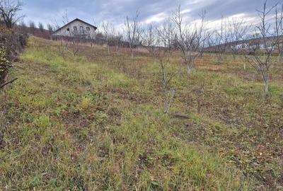 Spațiu comercial, în Dezmir - 2