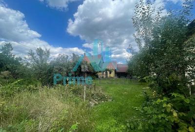 Casa cu teren de 4800 mp in Gilau - 5